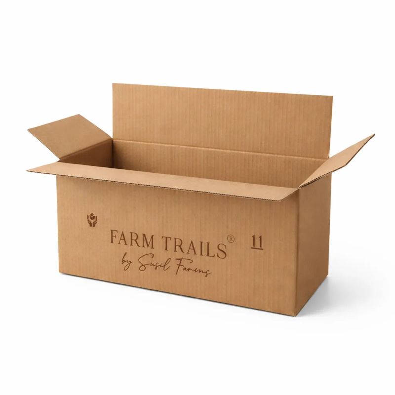 Regular Slotted Corrugated Box