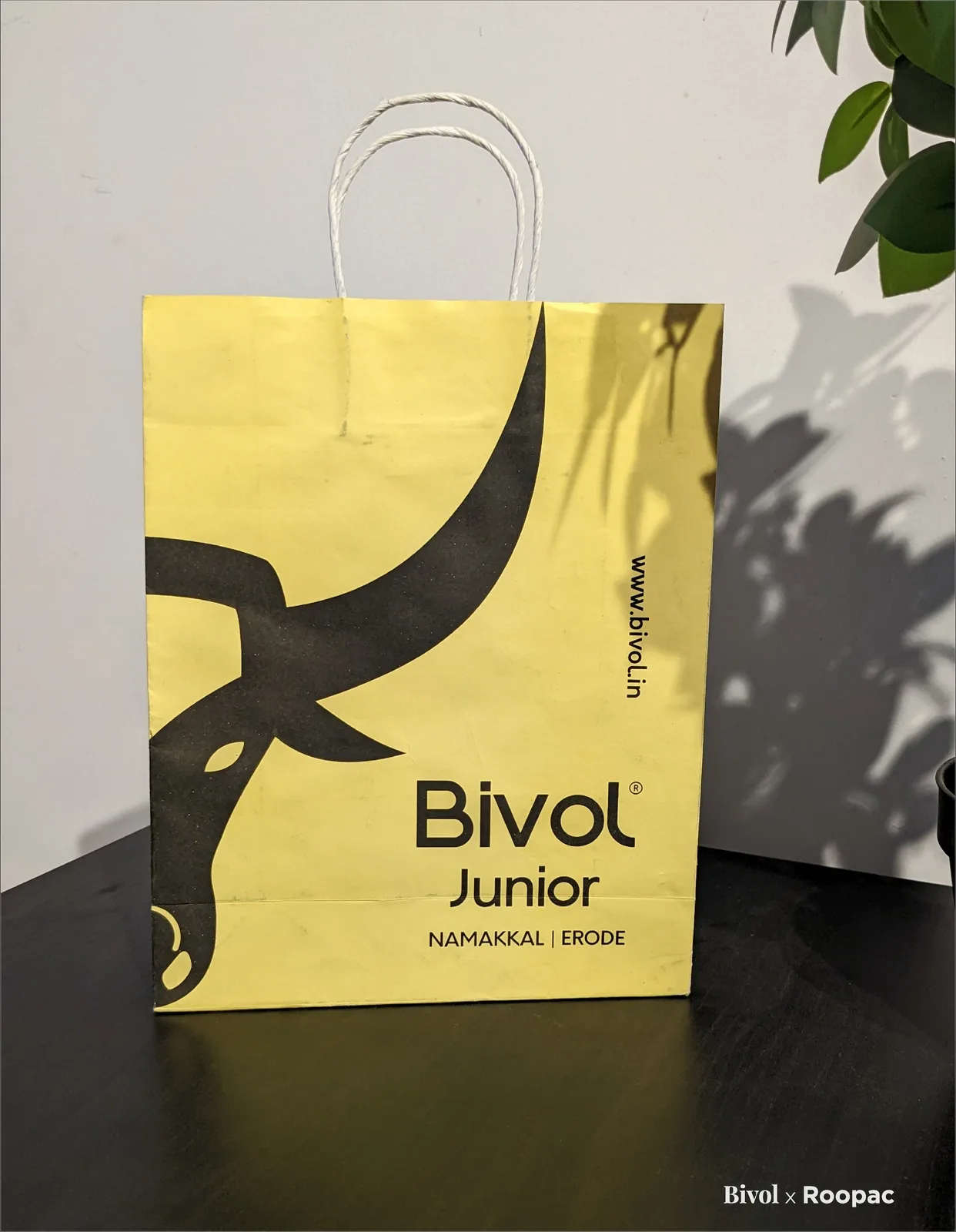 Bivol Junior